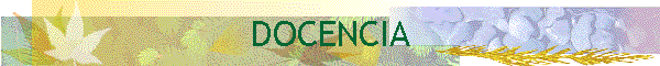 DOCENCIA