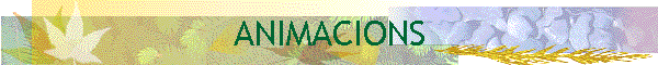 ANIMACIONS