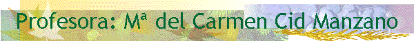 Profesora: M� del Carmen Cid Manzano